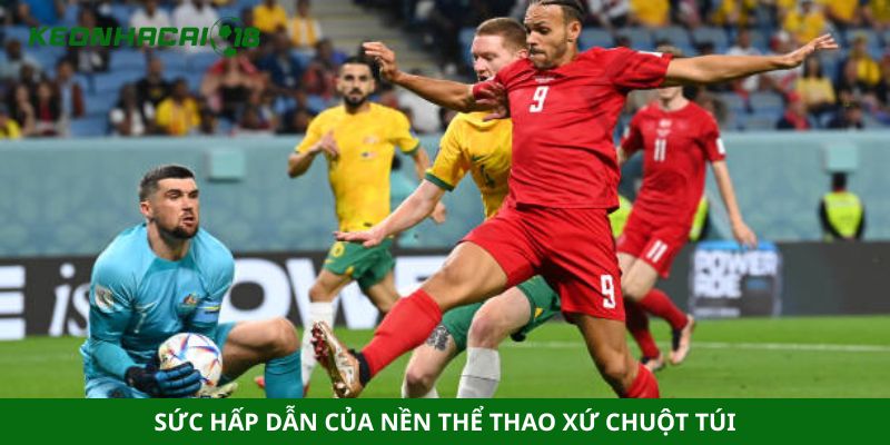 Sức hấp dẫn của nền thể thao xứ chuột túi